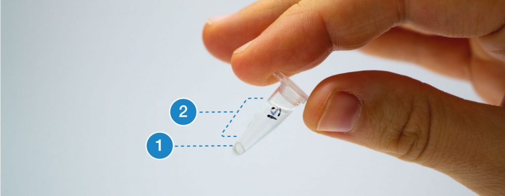 Biotechnology Protocol Dna Extraction From Tissue Bento Lab