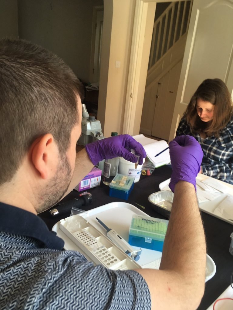 Nick Aplin and Clare Blencowe of the Sussex Fungus Group testing DNA extraction and amplification.