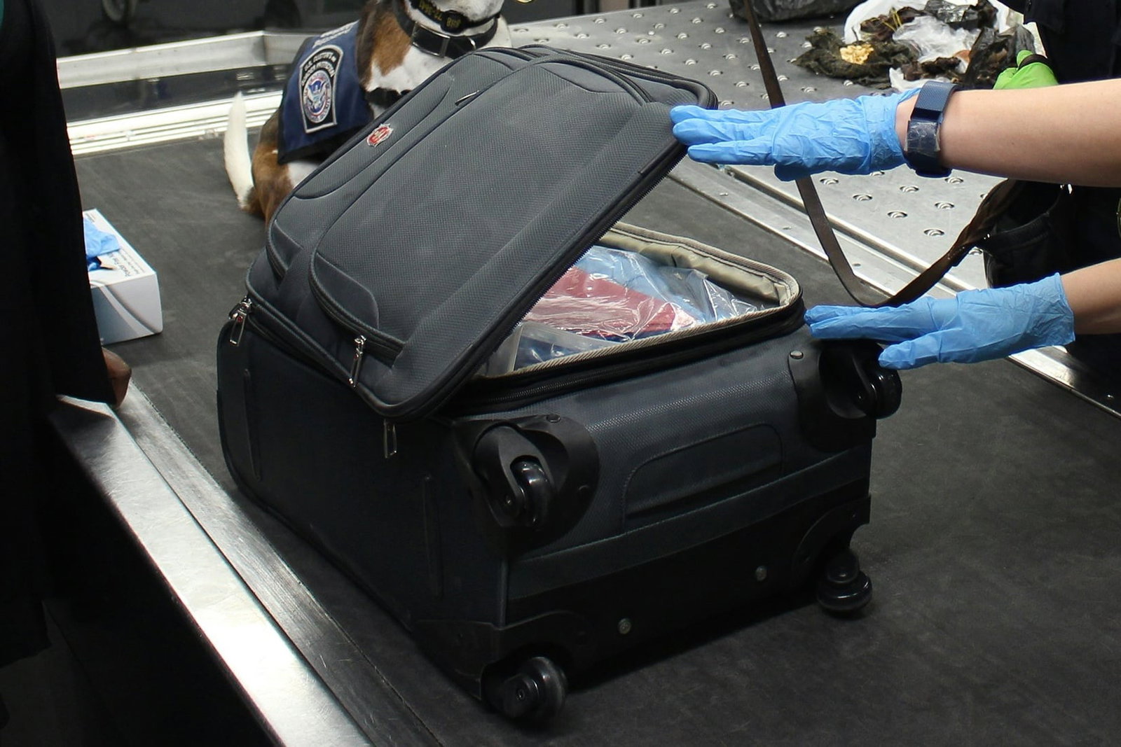 Customs suitcase inspection