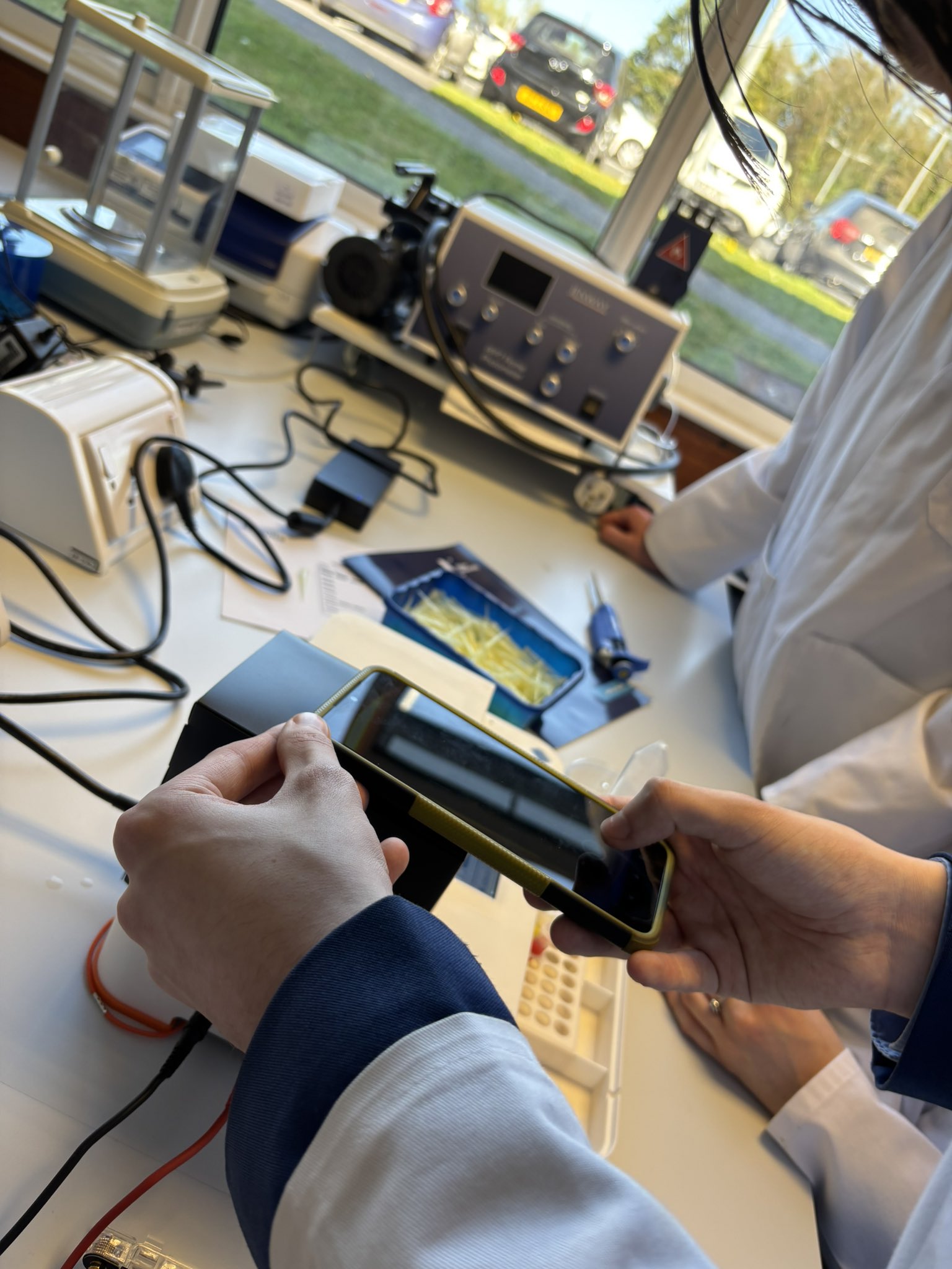 Learning to visualise PCR products