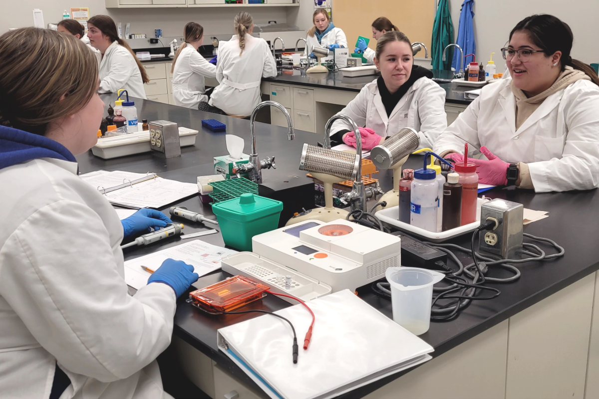 Groups of students around Bento Lab