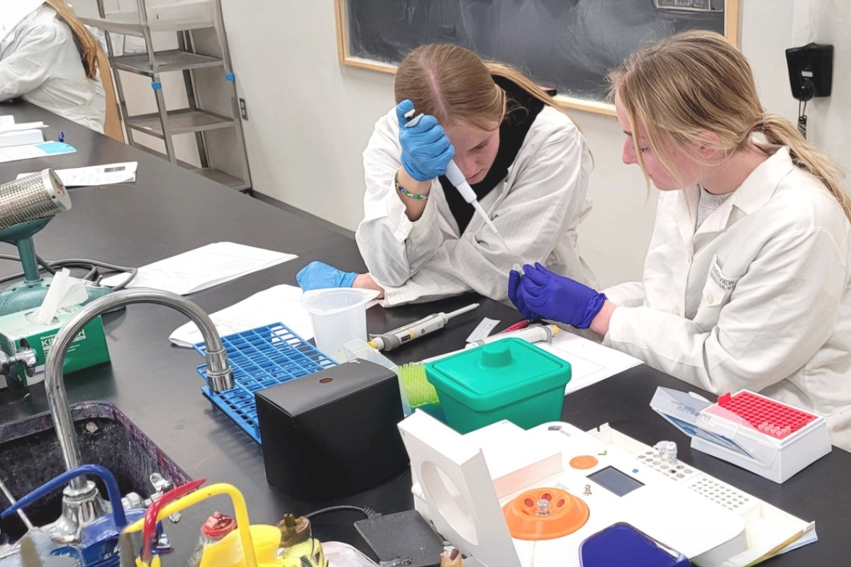 Two students load a gel on Bento Lab