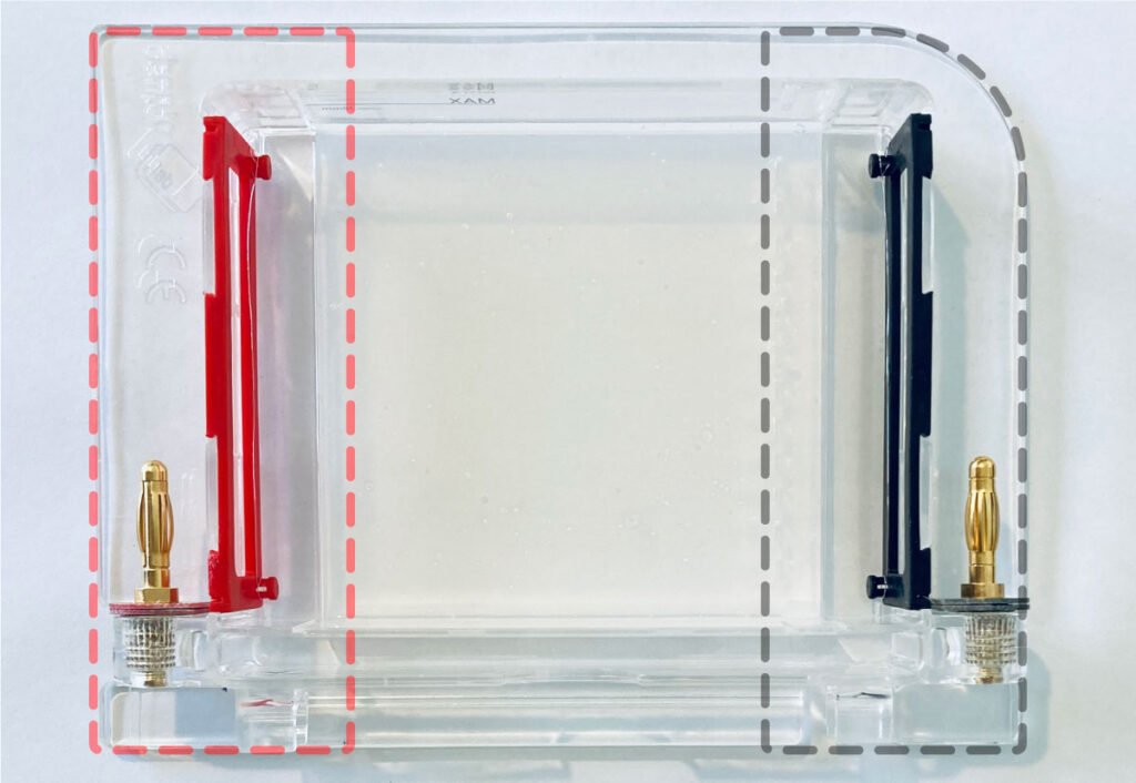 Bento Lab Gel Tray Electrode Replacement Guide Bento Lab