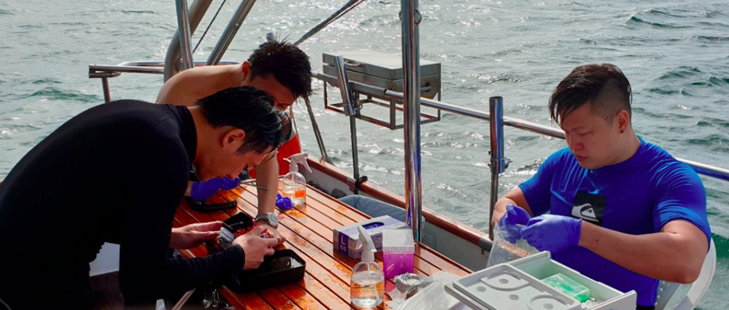 Barcoding on a dive boat with Bento Lab and MinION