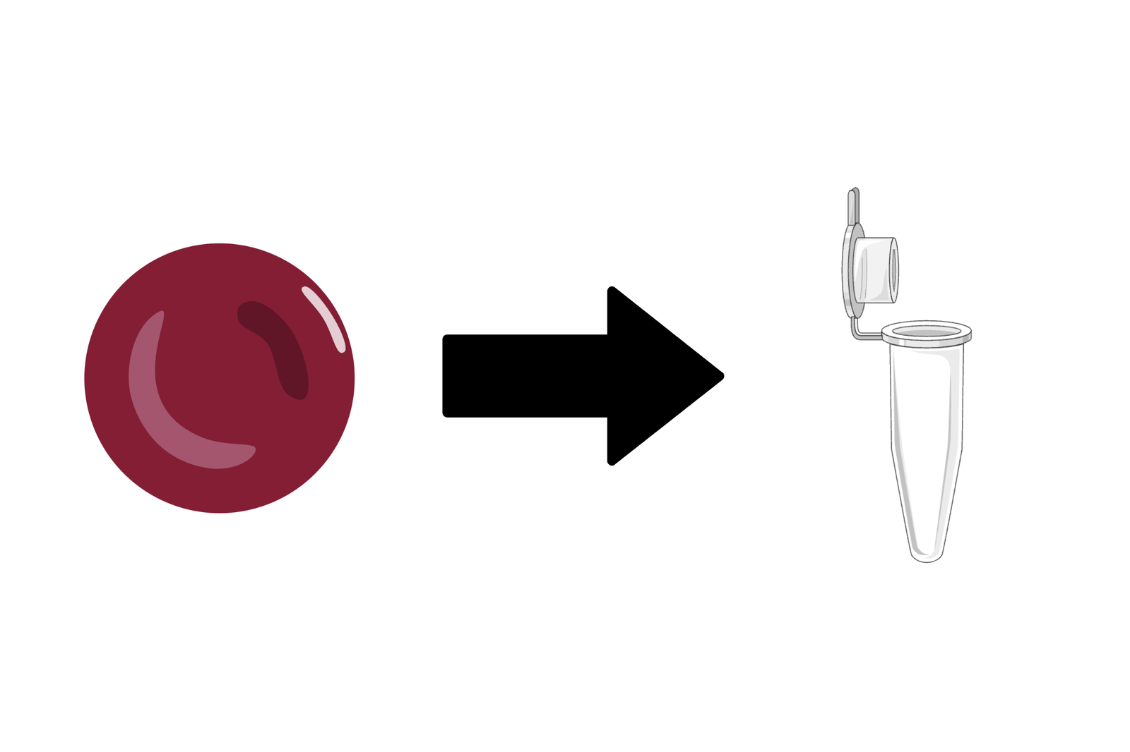 DNA Extraction from Dried Blood Spots