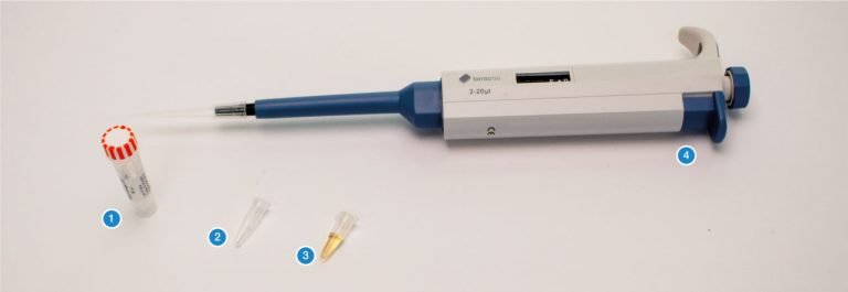 Biotechnology 101 Guide: Introduction to PCR | Bento Bio