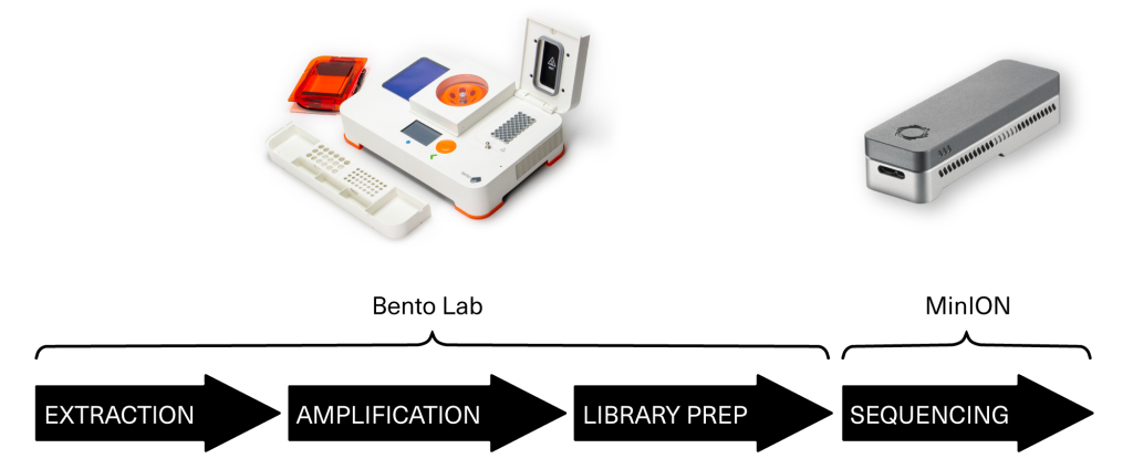 Bento Lab + Oxford Nanopore MinION Workflow. Bento Lab: Extraction, Amplification, Library Prep. MinION: Sequencing